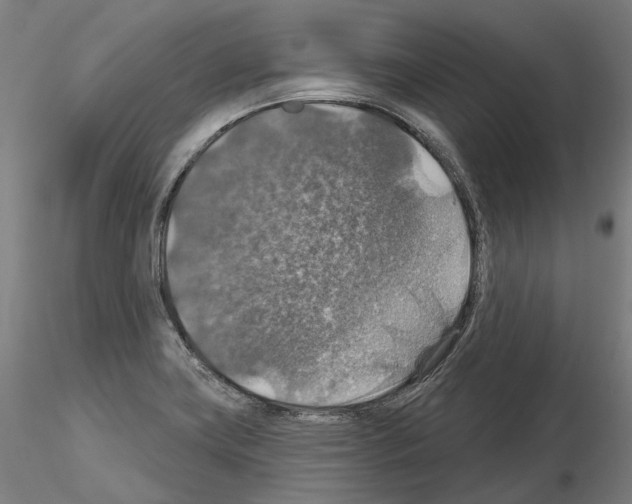 X0000115611419200912221157