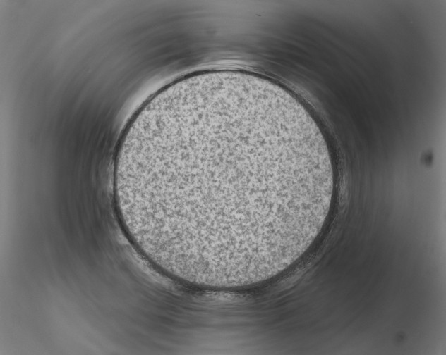 X0000115611420200912221158