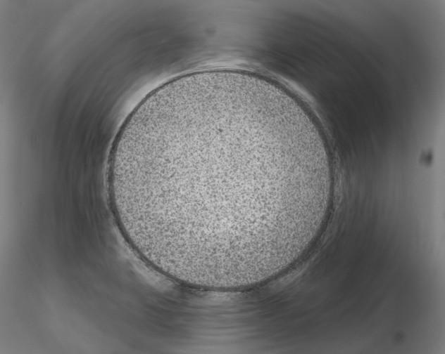 X0000115611423200912221158