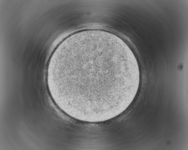 X0000115611424200912221158