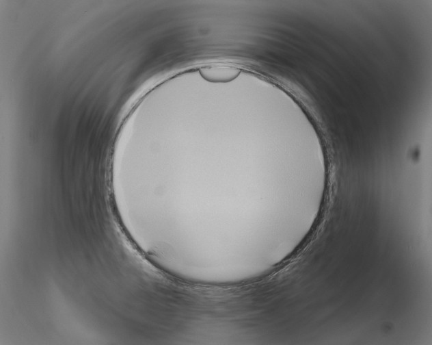 X0000115611428200912221158