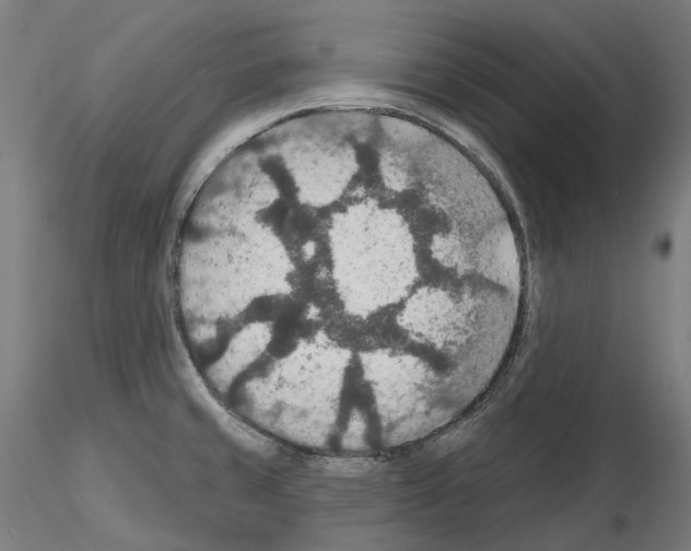 X0000115611429200912221158