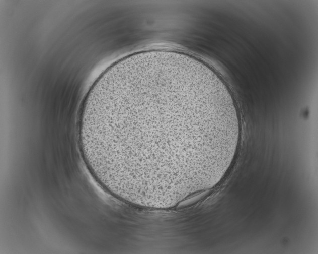 X0000115611430200912221158