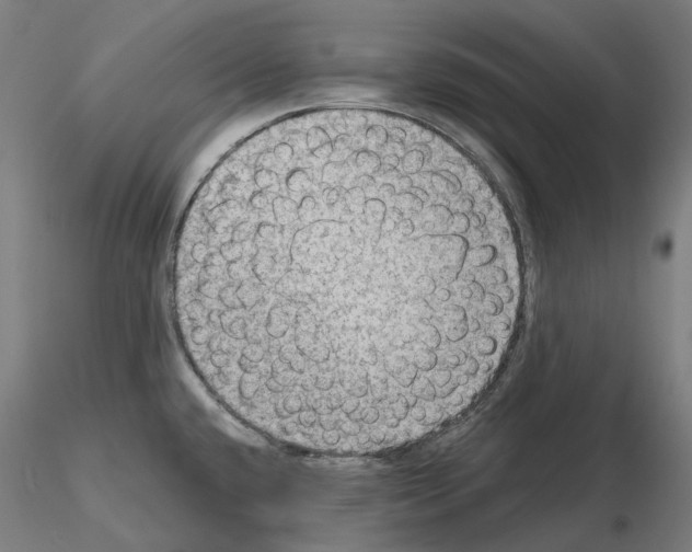 X0000115611432200912221158