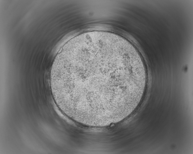X0000115611433200912221158