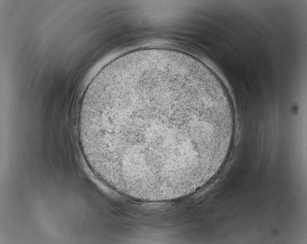 X0000115611437200912221158
