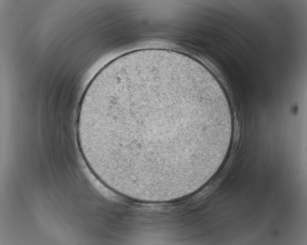 X0000115611438200912221158