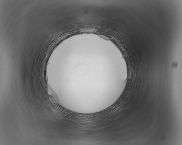 X0000115611441200912221157