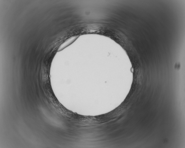 X0000115611442200912221157