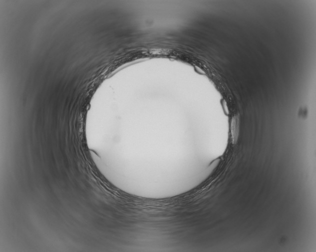 X0000115611443200912221157