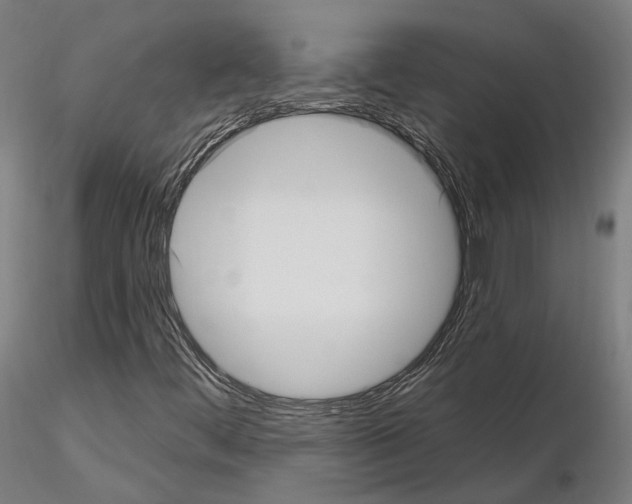 X0000115611444200912221157