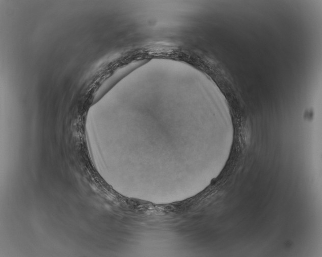 X0000115611445200912221157