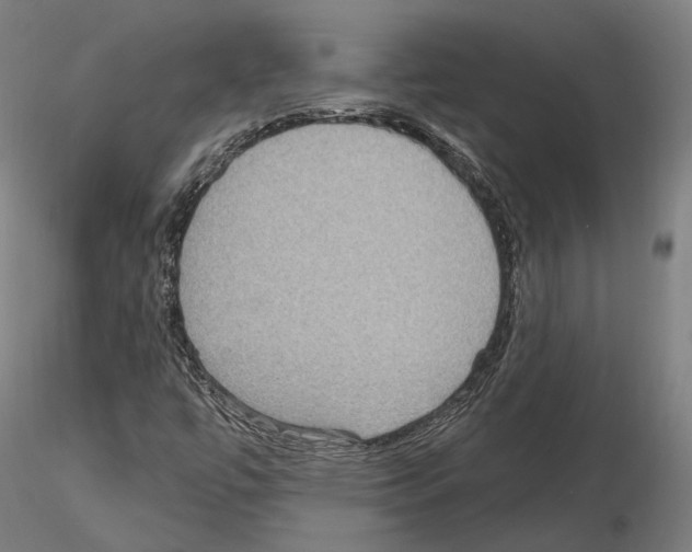 X0000115611447200912221157