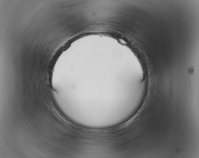 X0000115611449200912221157