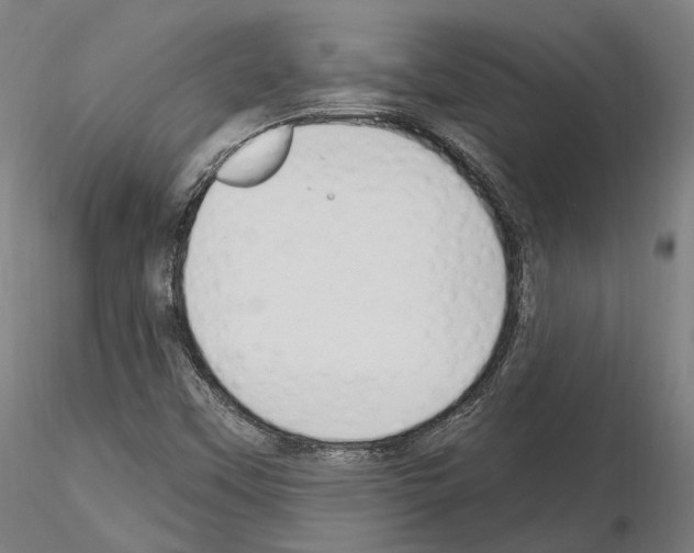 X0000115611451200912221157