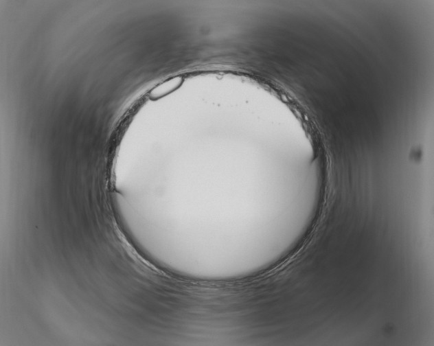 X0000115611452200912221157