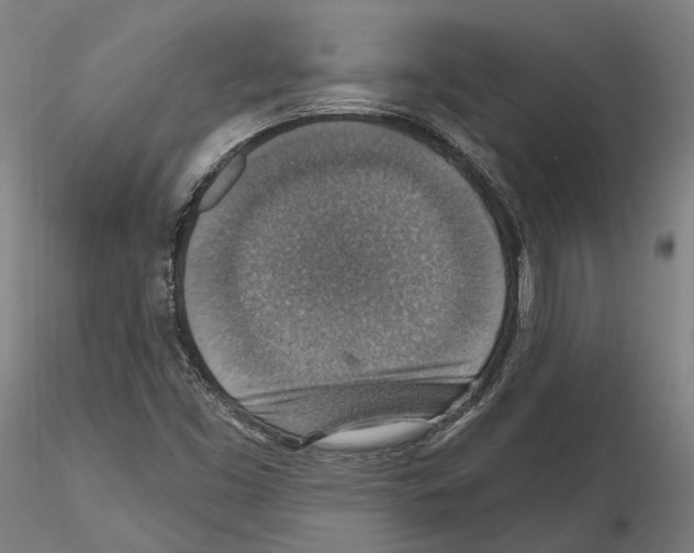 X0000115611453200912221157