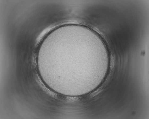 X0000115611454200912221157