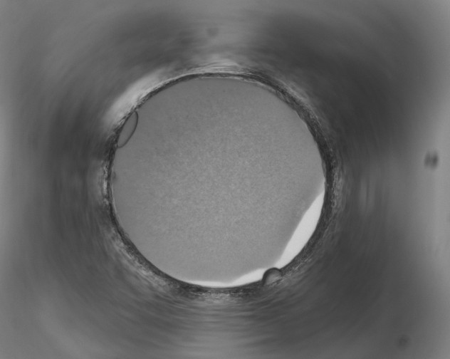 X0000115611455200912221157