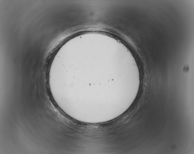 X0000115611456200912221157