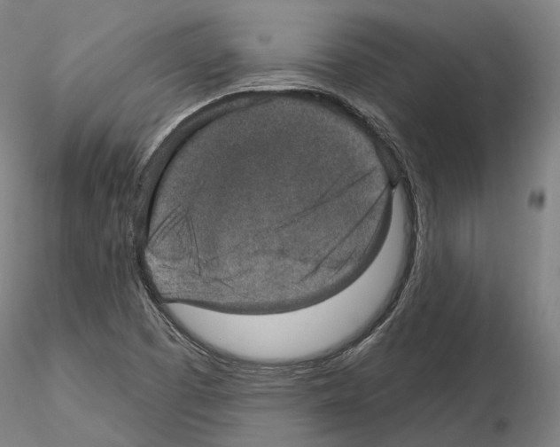 X0000115611457200912221157