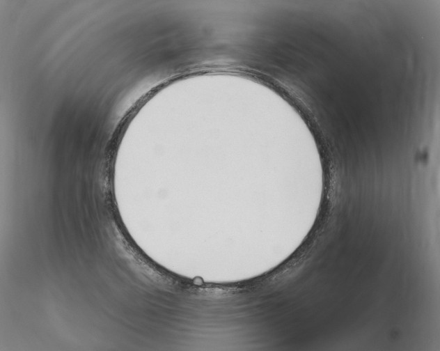 X0000115611458200912221157