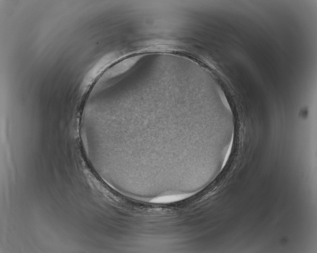 X0000115611459200912221157
