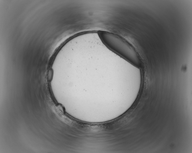 X0000115611460200912221157