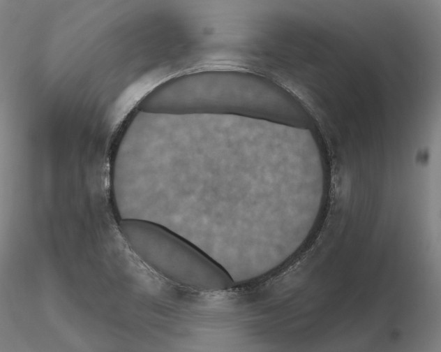 X0000115611461200912221157