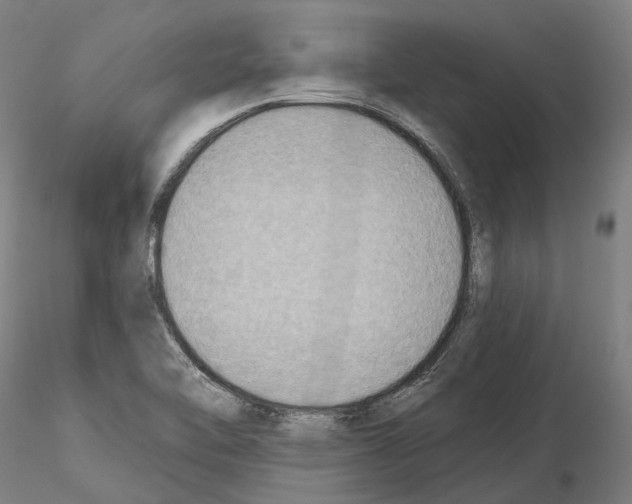 X0000115611462200912221157