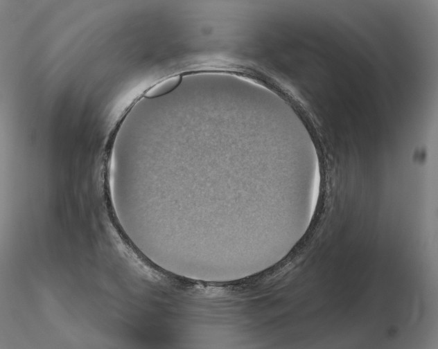 X0000115611463200912221157