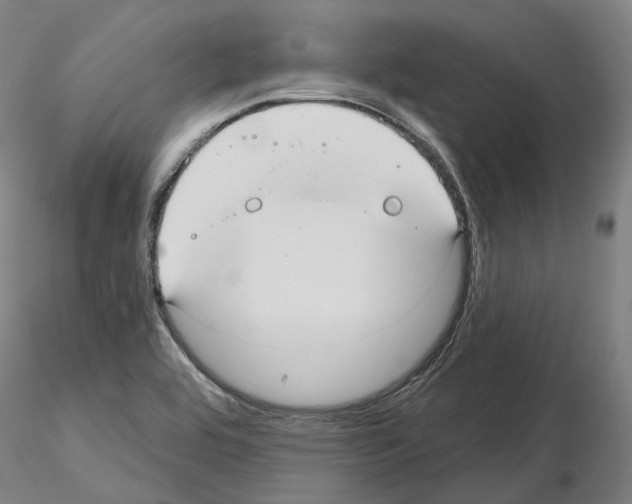 X0000115611464200912221157