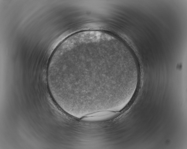 X0000115611465200912221157