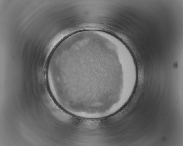 X0000115611466200912221157