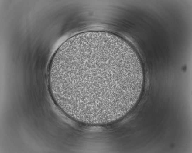 X0000115611467200912221157