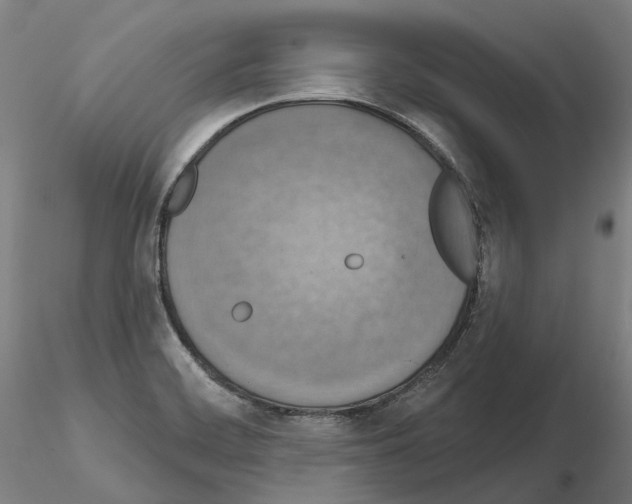 X0000115611468200912221157