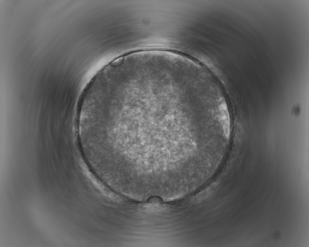 X0000115611469200912221157