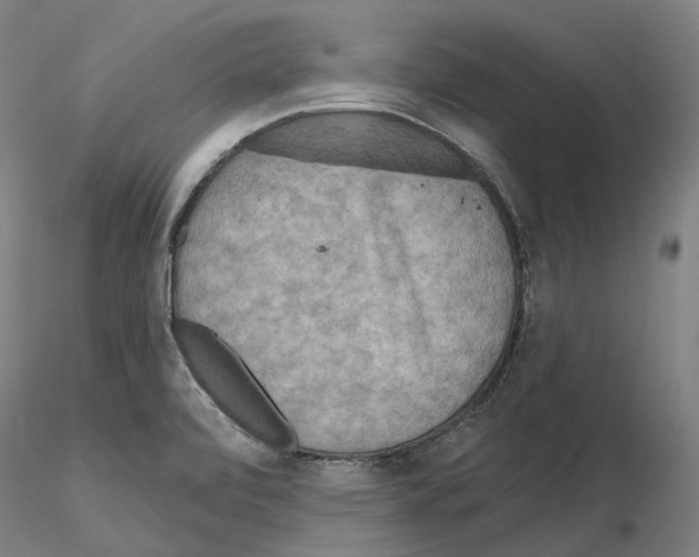 X0000115611472200912221157