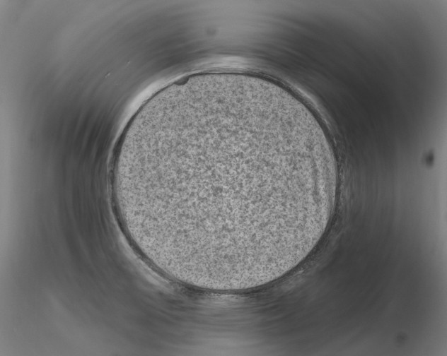 X0000115611475200912221157