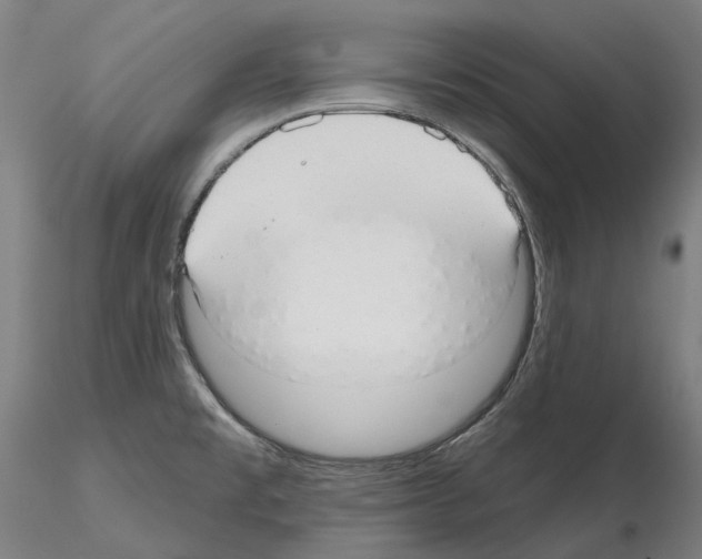X0000115611477200912221157
