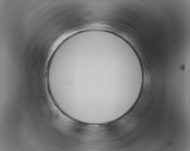 X0000115611478200912221157