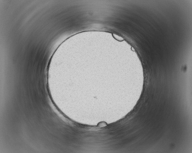 X0000115611479200912221157
