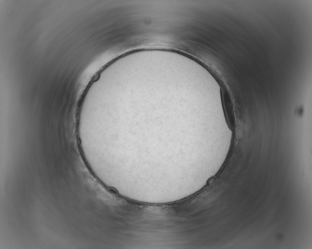 X0000115611480200912221157
