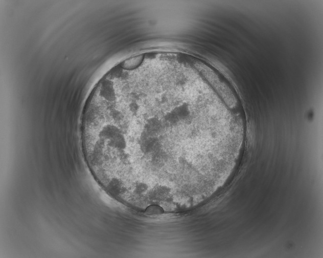 X0000115611482200912221157