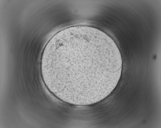 X0000115611483200912221157