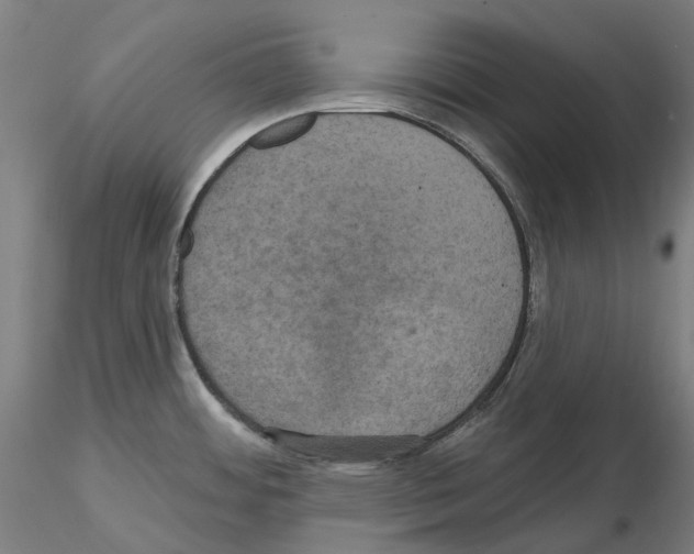 X0000115611484200912221157