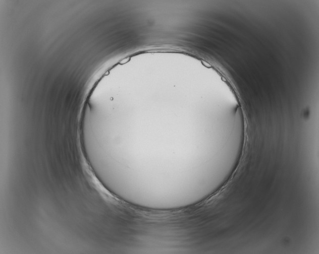 X0000115611485200912221157