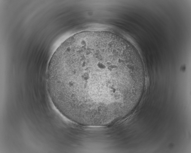 X0000115611487200912221157
