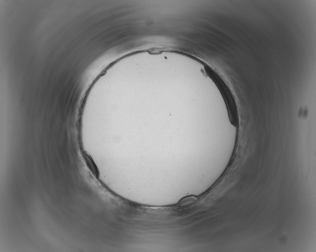 X0000115611488200912221156