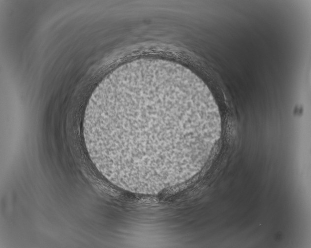 X0000115611489200912221156